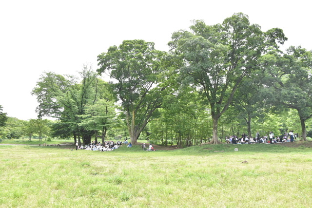 なかよしレク（年長）
