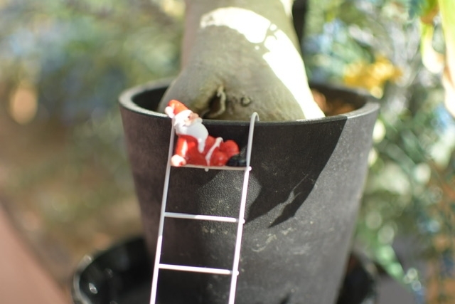 もうすぐなかよし会